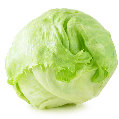 کاهو پیچ